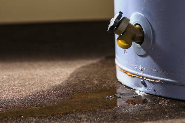 Best Local water damage restoration  in Bangor, WI