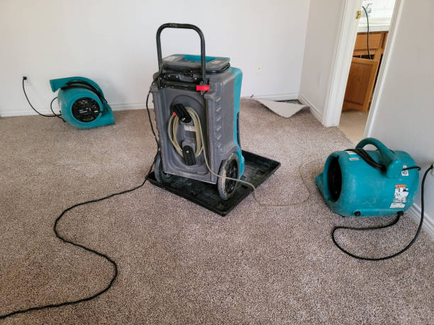 Best Basement water damage restoration  in Bangor, WI