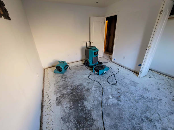 Best Water damage restoration process  in Bangor, WI