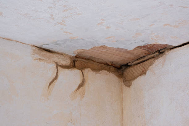 Best Mold removal after water damage  in Bangor, WI