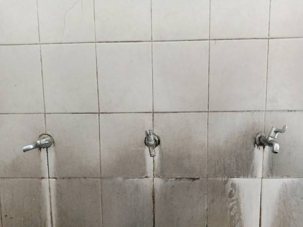  Bangor, WI Water damage restoration Pros