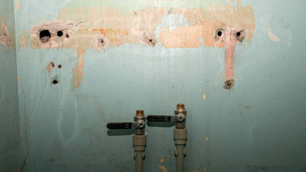 Best Commercial water damage restoration  in Bangor, WI